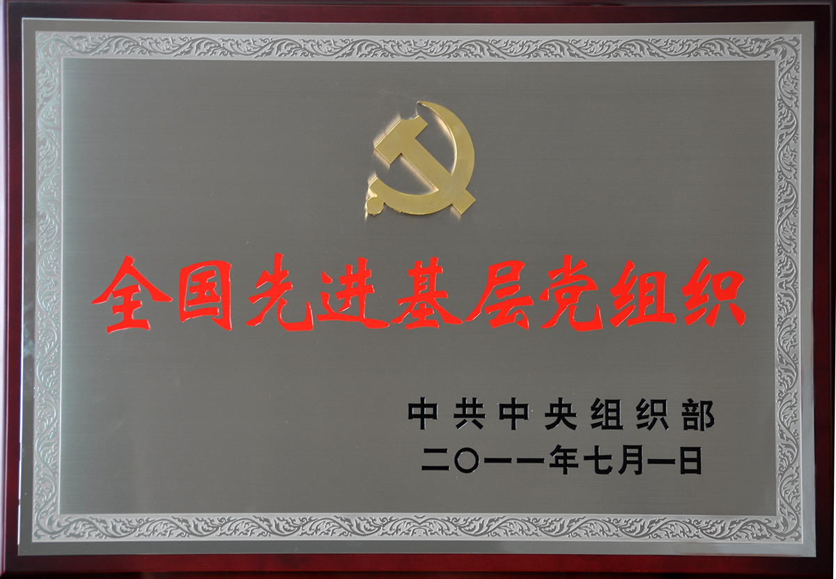 2011年7月，人生就是博尊龙集团党委荣获“全国先进基层党组织”称号